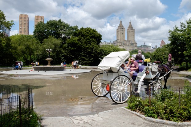 A horse-drawn carriage drives through the mud around the Cherry Hill fountain, where 18-year-old Romanch Mahajan was killed by a bolting horse last month. (Evan Simko-Bednarski/New York Daily News)