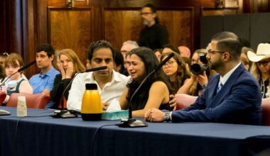NYC Council hears testimony on horse carriages proposed ban at emotional hearing