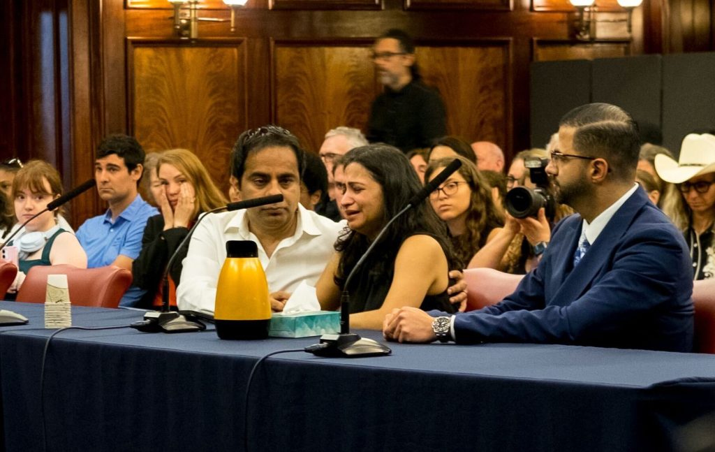 NYC Council hears testimony on horse carriages proposed ban at emotional hearing