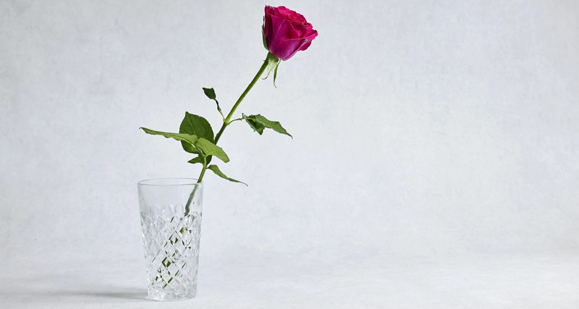 NY State Attorney General James Secures $375,000 From 1-800-Flowers.com For Deceiving Consumers | The Bronx Daily