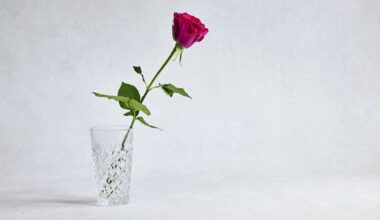 NY State Attorney General James Secures $375,000 From 1-800-Flowers.com For Deceiving Consumers | The Bronx Daily