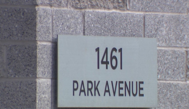 NYC tenants hold rally over roaches, mold, and broken elevators