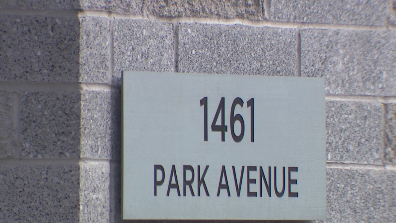 NYC tenants hold rally over roaches, mold, and broken elevators