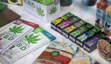 State unveils new toolkit for NY educators and parents to tackle student cannabis use