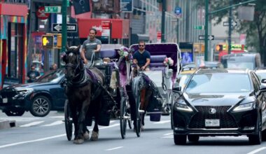 It's time to ban horse carriage rides in New York