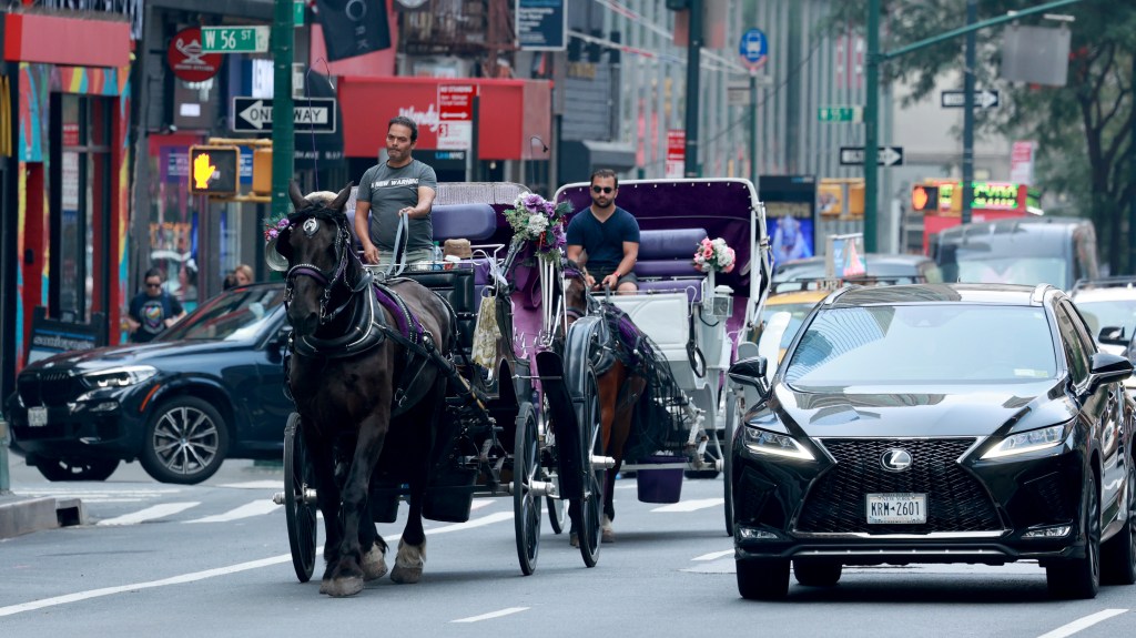 It's time to ban horse carriage rides in New York