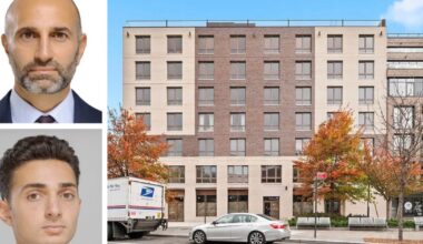 Pure Paws Veterinary Care to Relocate to 5K SF at Brooklyn’s 1 Putnam Avenue – Commercial Observer