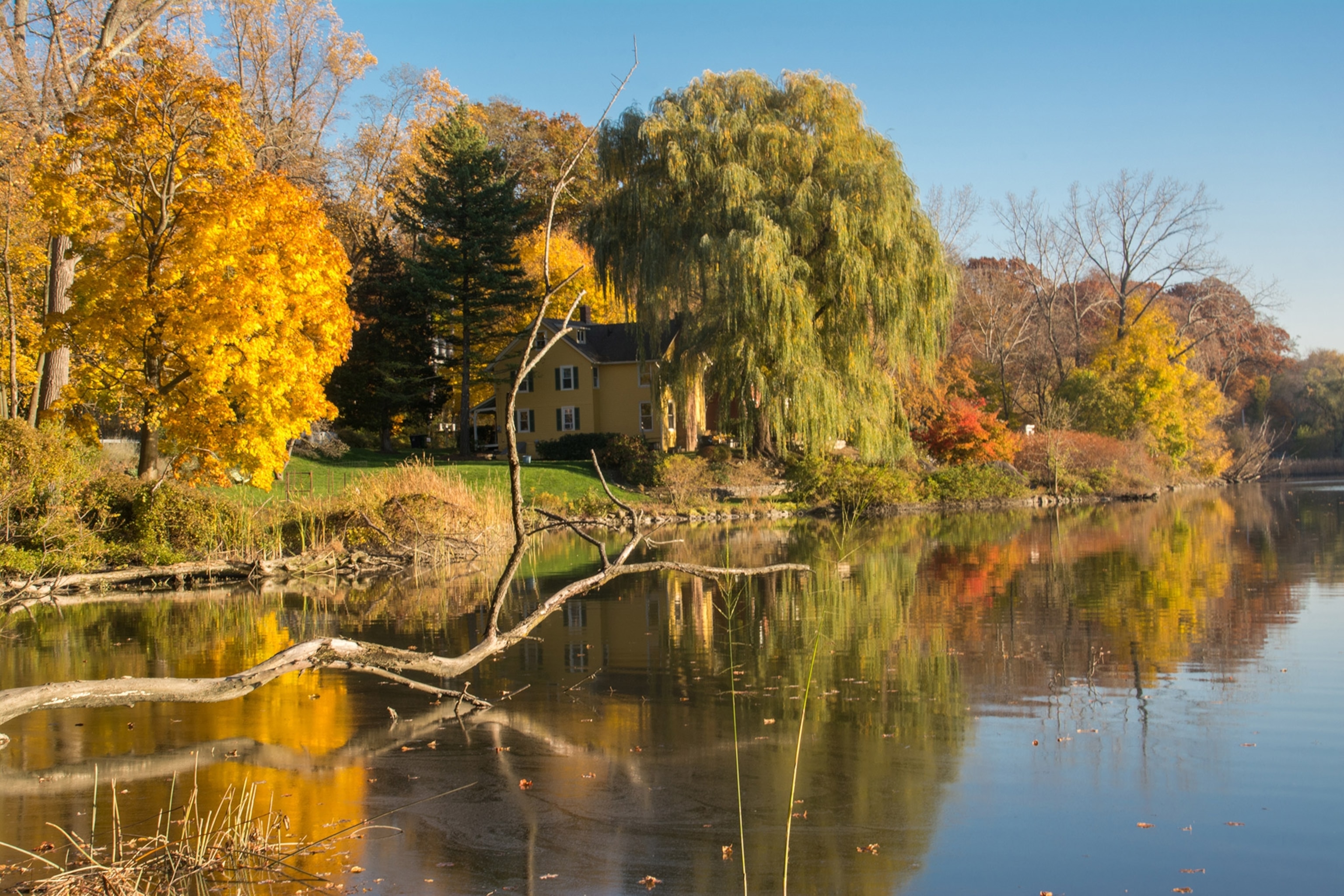 a yellow house sits surrounded by trees with fall foliage at the edge of a reflective pond or lake