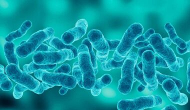 Legionnaires’ disease outbreak: 28 New Yorkers now sick as city expands public health response to Upper East Side crisis