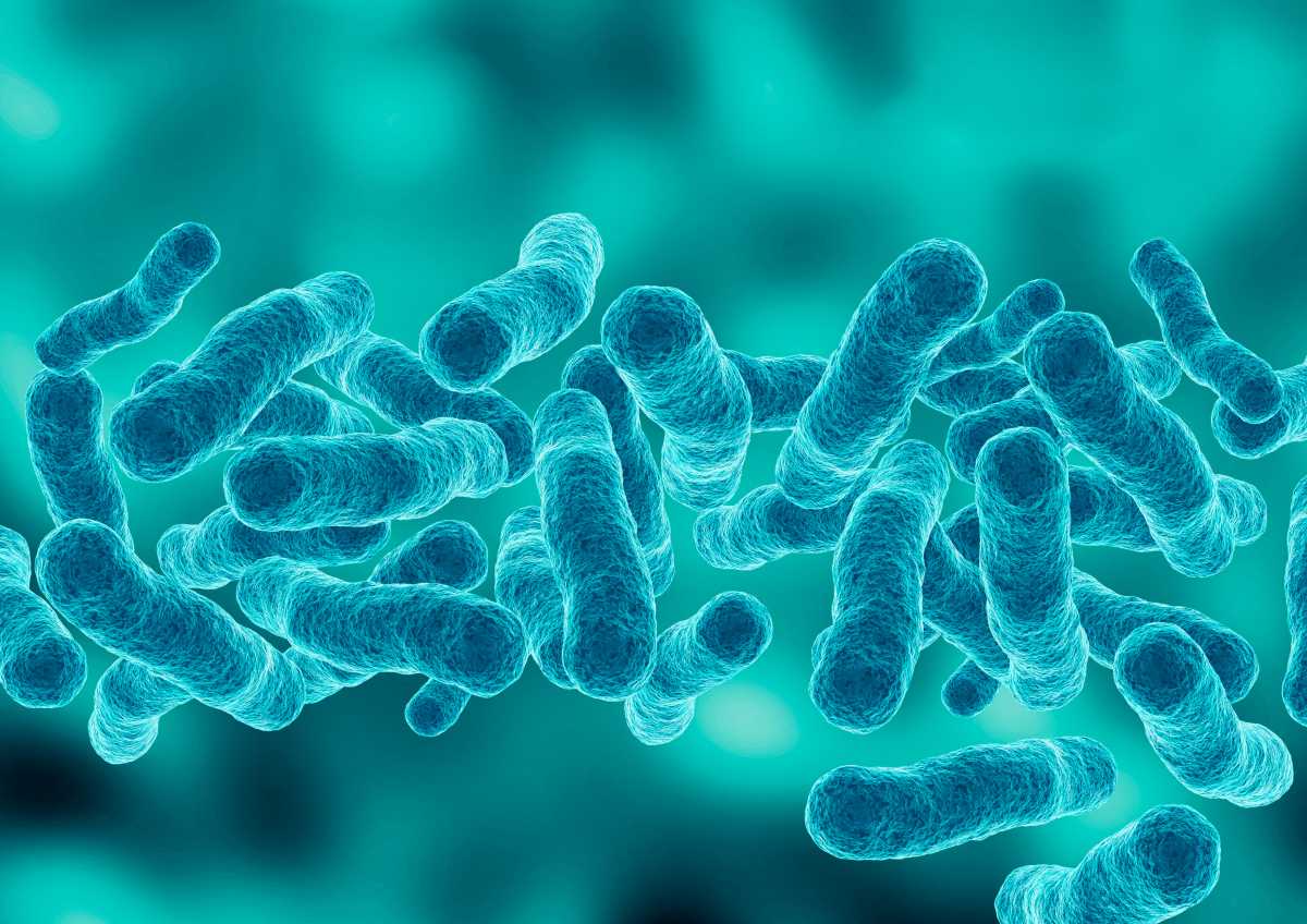 Legionnaires’ disease outbreak: 28 New Yorkers now sick as city expands public health response to Upper East Side crisis