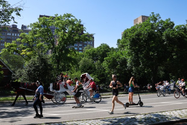 People cycle and run in Central Park in 2024. (Photo by CHARLY TRIBALLEAU/AFP via Getty Images)