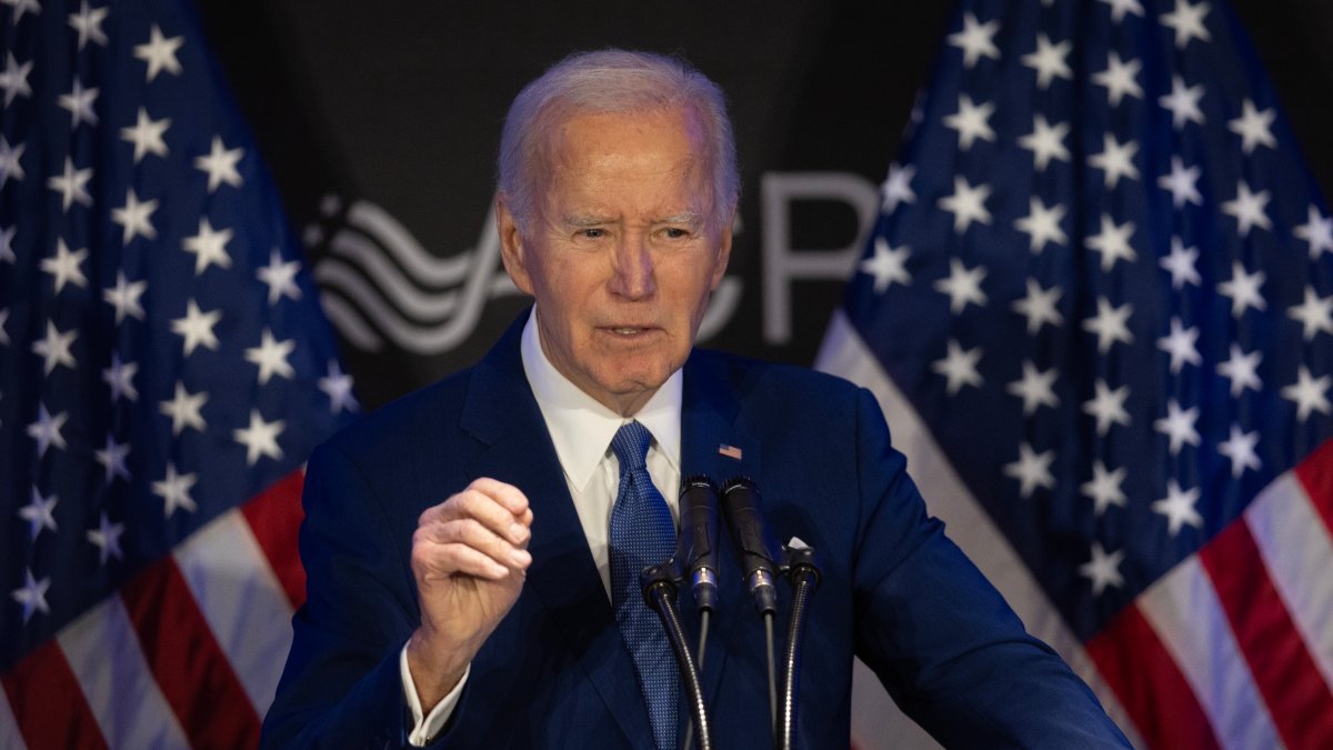 Joe Biden will publish memoir after November midterm elections – NBC New York