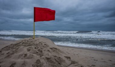 Shark spotted off Long Island’s Point Lookout beach – NBC New York