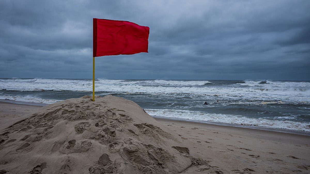 Shark spotted off Long Island’s Point Lookout beach – NBC New York