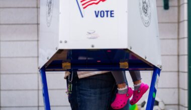 Why voter turnout stays low in NYC primaries – NBC New York