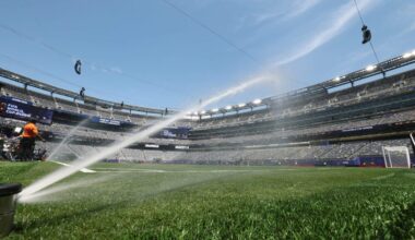 New Jersey and FIFA clash again over plan to sell MetLife Stadium grass for $11.2M