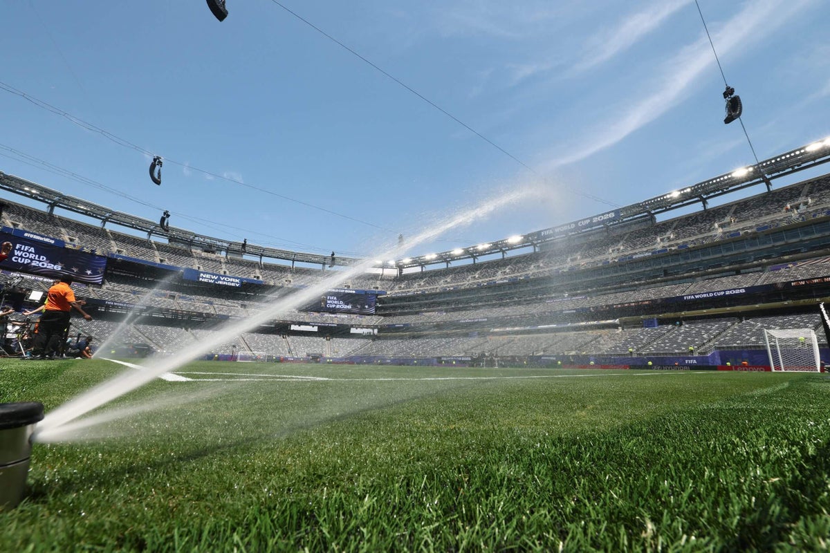 New Jersey and FIFA clash again over plan to sell MetLife Stadium grass for $11.2M