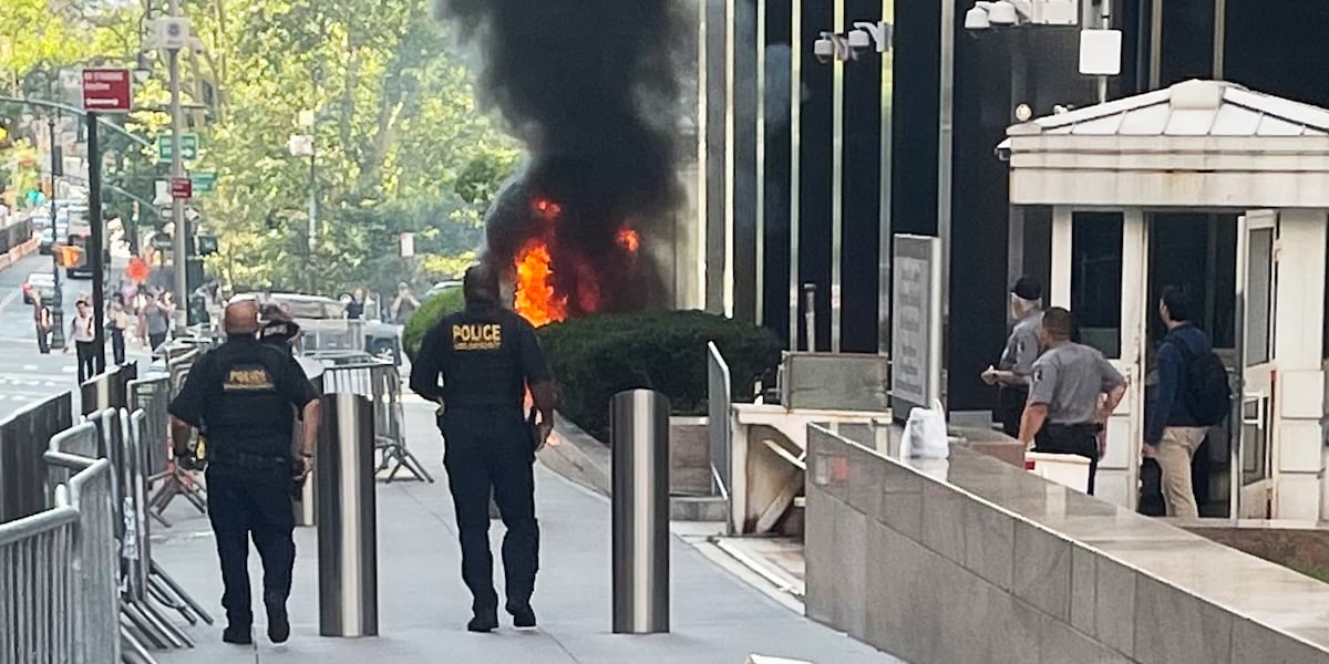 Ex-Army soldier jailed on arson charge after fiery attack on Manhattan federal building