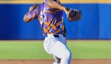 The Brooklyn Cyclones Report - The Wave