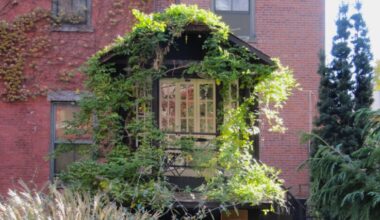 A Hidden Treehouse in a Manhattan Public Garden