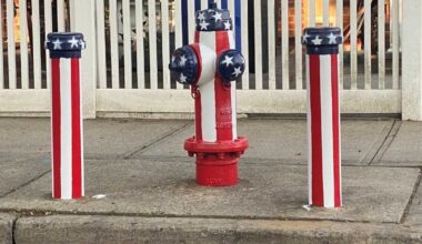 South Queens residents paint ‘patriotic’ fire hydrants ahead of America 250 celebrations – QNS