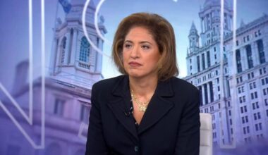 NYC investigators open preliminary criminal probe