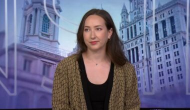 Assessing AI's growth in politics and in daily life