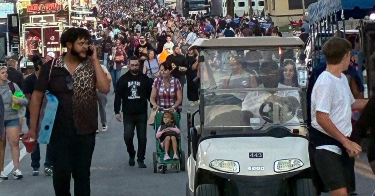 A large crowd walks through an outdoor fairground at dusk, past vendor stalls and a golf cart under a pink sky.