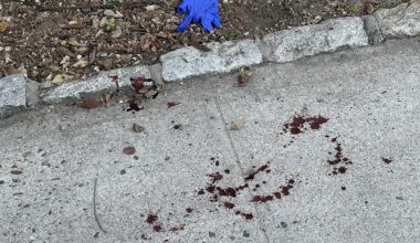 Kingsbridge: 35-Year-Old Man Stabbed on Riverdale Ave Close to Wellness Center Where Woman Fell Unconscious