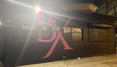 Norwood: 20-Year-Old Man Stabbed in Back & Shoulder on Jerome Avenue