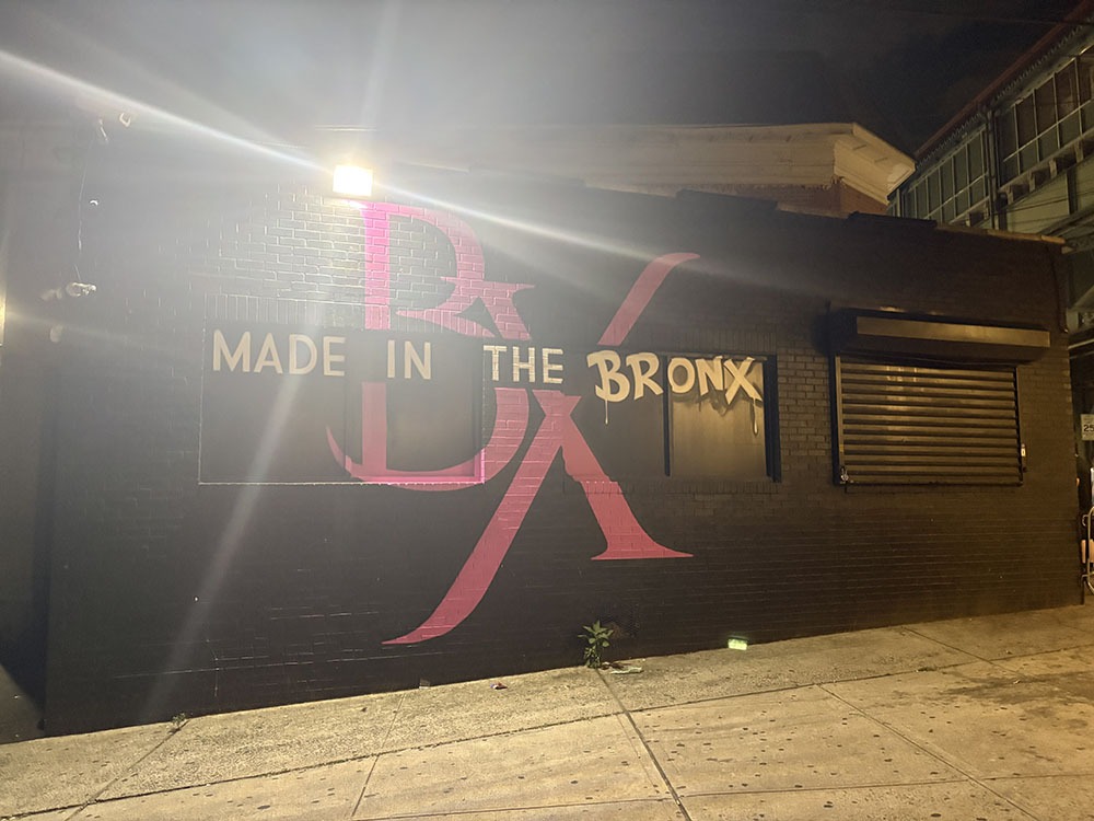 Norwood: 20-Year-Old Man Stabbed in Back & Shoulder on Jerome Avenue