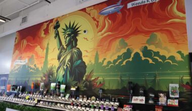 Op-ed | Canna Ball NYC: When New York won’t recognize us, we will recognize ourselves