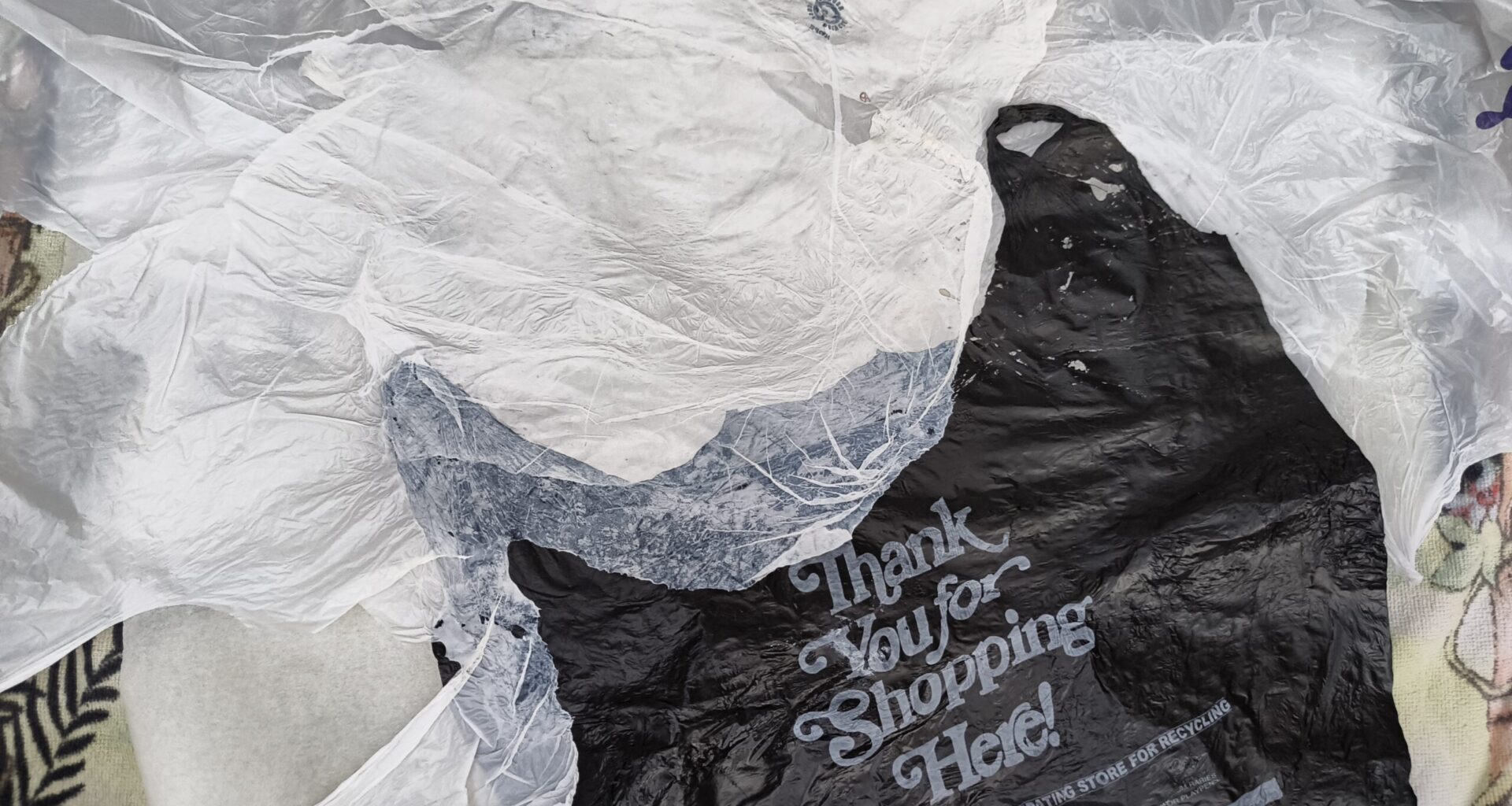 When One Person’s Trash Is an Artist’s Treasure