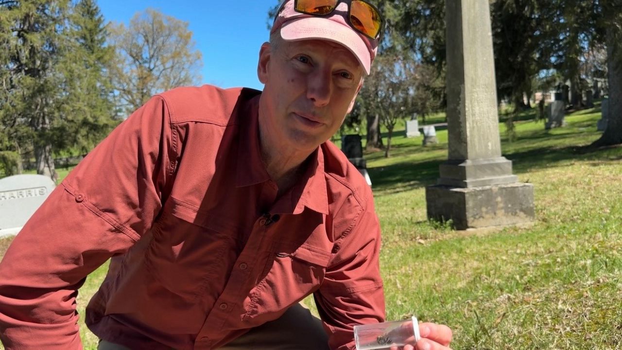 Bryan Danforth at East Lawn Cemetery with a collection of bees. (Spectrum News/Natalie Mooney)
