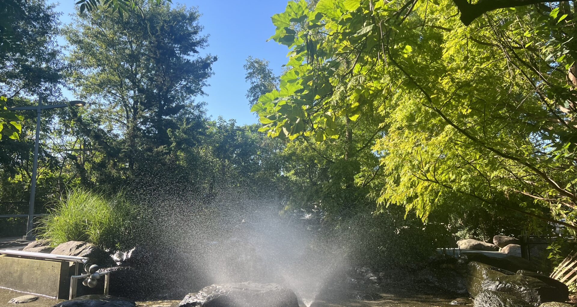 Things to do with kids during heat waves in Brooklyn | Brooklyn Bridge Parents