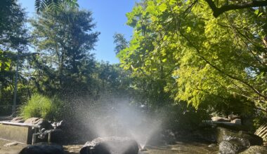 Things to do with kids during heat waves in Brooklyn | Brooklyn Bridge Parents