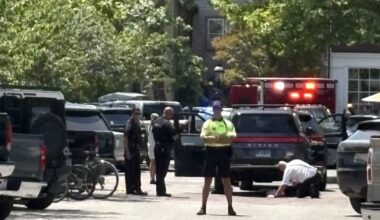 Nantucket Current | New York Woman Dies After Being Struck By SUV…