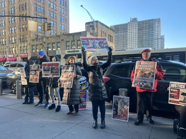 Animal rights activists are pictured protesting alleged cat killer David Mosley outside Bronx Supreme Court on Tuesday, Jan. 13, 2026. (Emma Seiwell / New York Daily News)