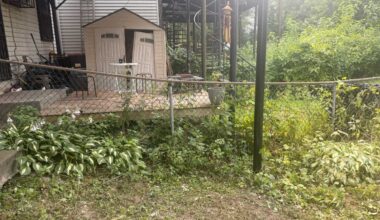 After years of delays, city unveils new plan to repair sinking backyards of Villa Maria Homes – Bronx Times