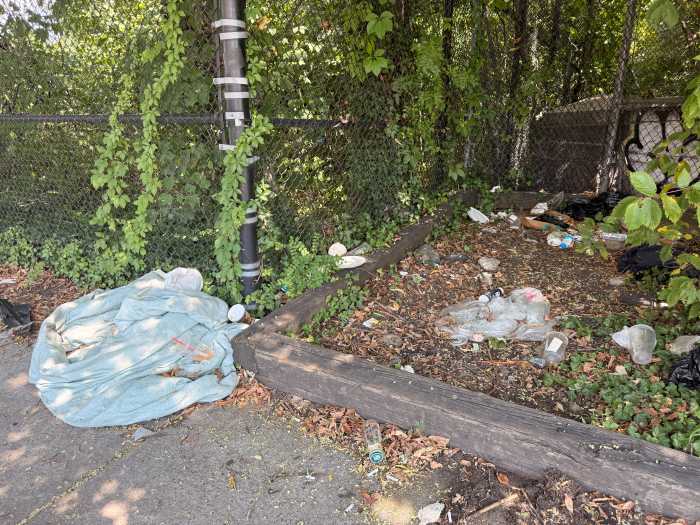Trash outlines the outer perimeter of the Pelham Bay Little League field, near Dunkin Donuts.