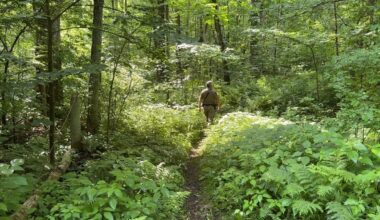 Fourth of july safety tips for hiking in heat