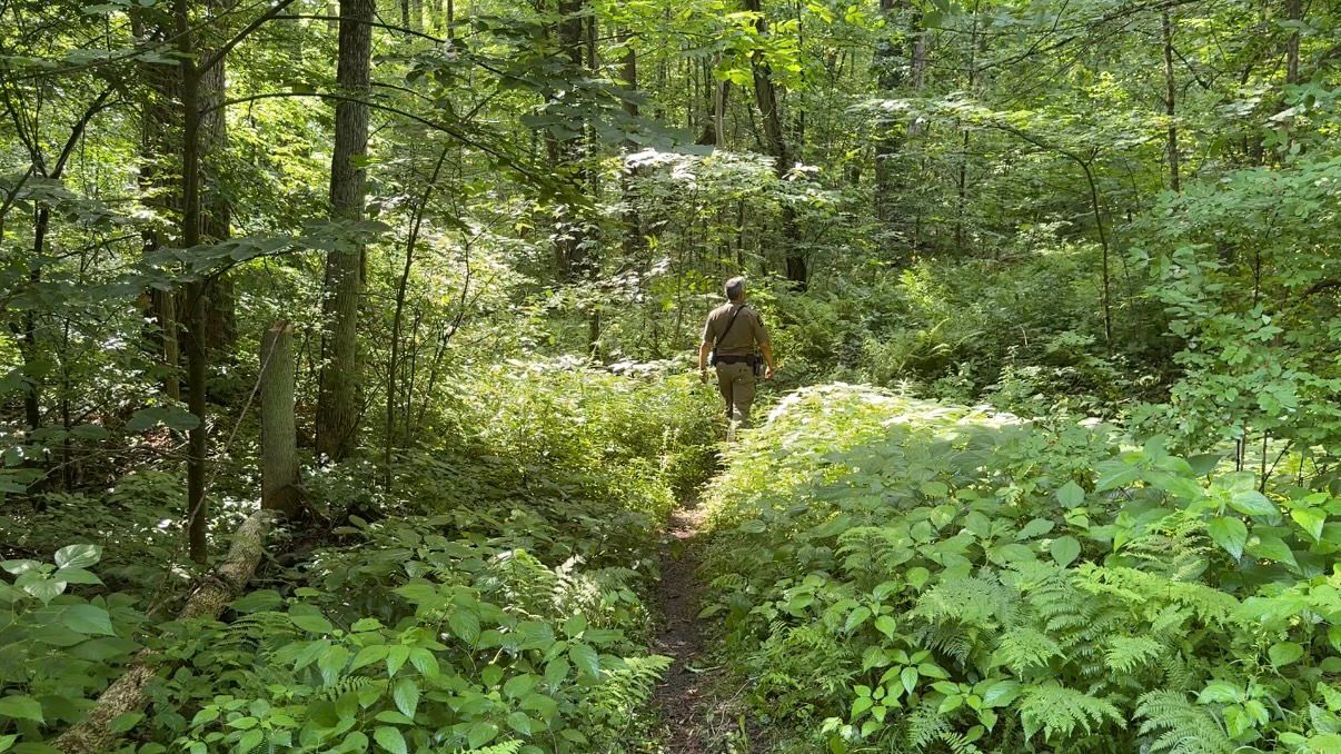 Fourth of july safety tips for hiking in heat
