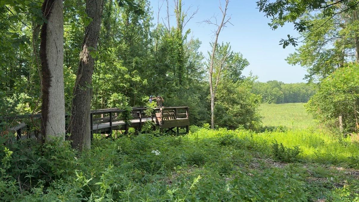 Ranger Chappell and Birder Fred Leff admire the view. (Spectrum News/Natalie Mooney)