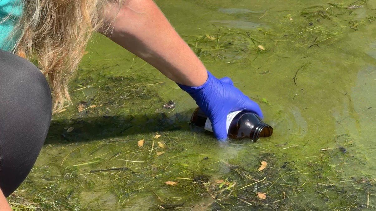 Alyssa Johnson collects a sample of water where a HAB was reported on Cayuga Lake. (Spectrum News/Natalie Mooney)