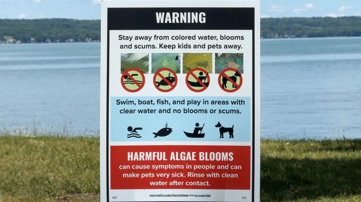 If you see a HAB, stay away and report it. (Spectrum News/Natalie Mooney)