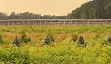 Solar farms and land use debate