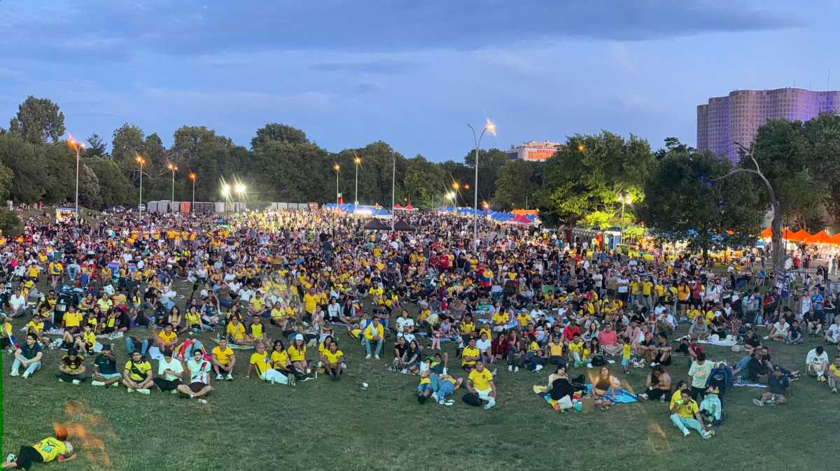 Where to catch a watch party for the World Cup final this Sunday – QNS