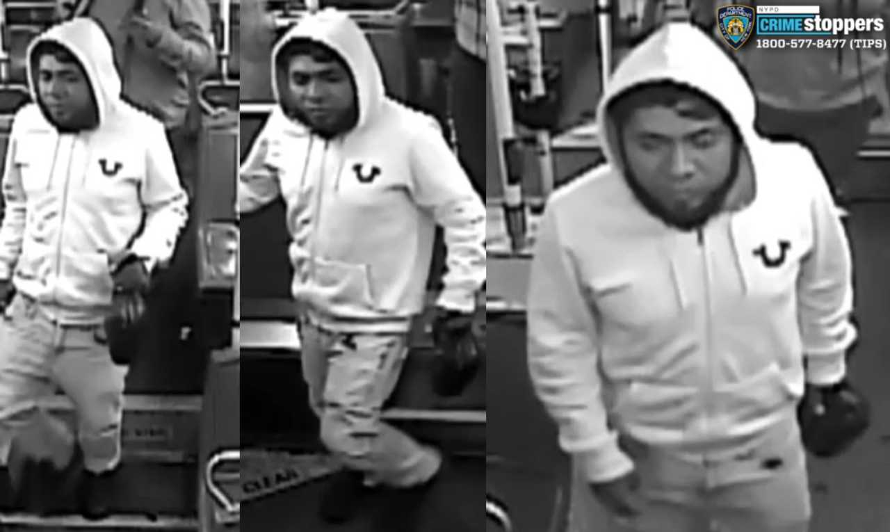 Hudson Valley Man Accused Of Raping Girl, 13, In Bronx Park: Nypd