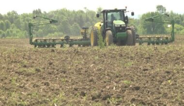 North Country farmers react to New York’s $30 million tariff relief program