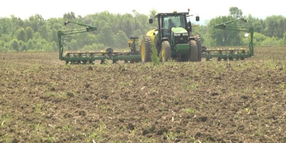 North Country farmers react to New York’s $30 million tariff relief program